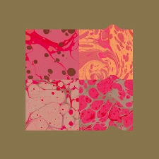 DJANGO DJANGO / ジャンゴ・ジャンゴ / STORM