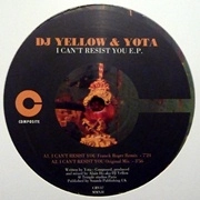 DJ YELLOW & YOTA  / I CAN'T RESIST YOU