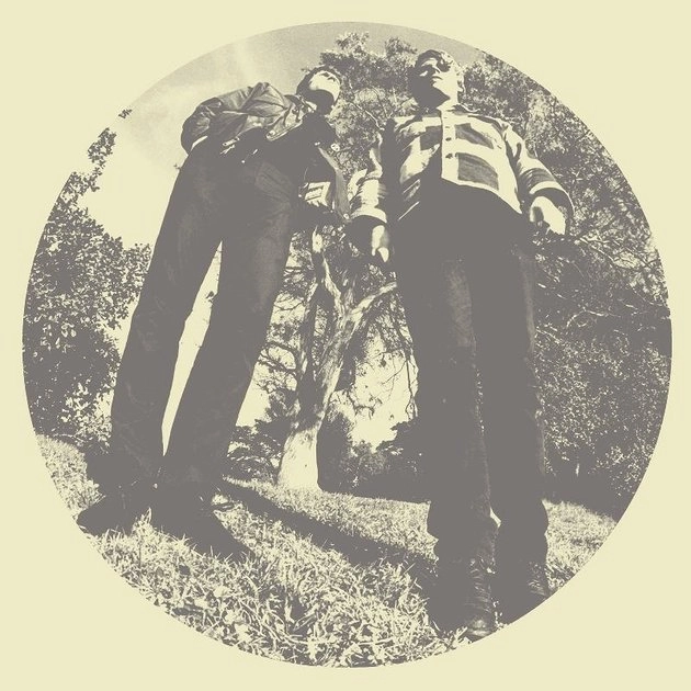 TY SEGALL & WHITE FENCE / タイ・セガール・アンド・ホワイト・フェンス / HAIR
