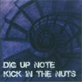 KICK IN THE NUTS / キックインザナッツ / DIG UP NOTE