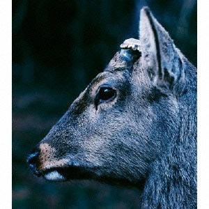 toe / THE BOOK ABOUT MY IDLE PLOT ON A VAGUE ANXIETY (再発盤)