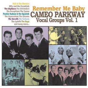 V.A. (CAMEO PARKWAY VOCAL GROUP) / REMEMBER ME BABY: CAMEO PARKWAY VOCAL GROU
