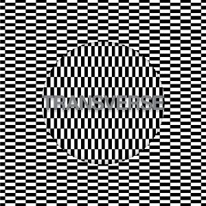 CARTER TUTTI VOID / TRANSVERSE