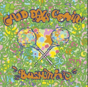 BUSHMIND / ＧＯＯＤ　ＤＡＹＳ　ＣＯＭＩＮ’
