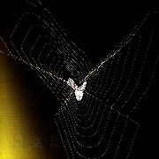 PARADOX (DRUM & BASS) / ISOTOXAL/APHORISMIC