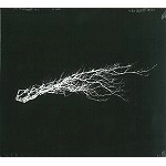 ART ZOYD / アール・ゾイ / PURE NOISE