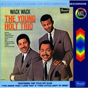 YOUNG HOLT TRIO / ヤング・ホルト・トリオ / ワックワック