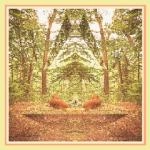 GRACIE / TREEHOUSE