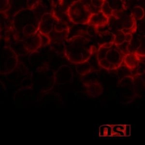 OSI / BLOOD<SPECIAL EDITION>