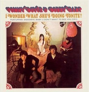 TOMMY BOYCE & BOBBY HART / トミー・ボイス&ボビー・ハート / 自由になりたい（紙ジャケット SHM-CD） / I WONDER WHAT SHE'S DOING TONITE?