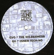 GLENN UNDERGROUND / グレン・アンダーグラウンド / WILDERNESS/INNER TECH-NO