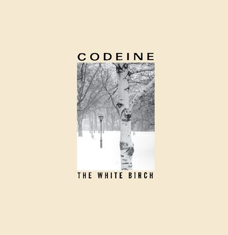 CODEINE / コデイン / WHITE BIRCH