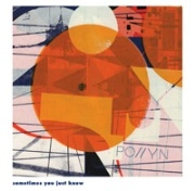 POLLYN / SOMETIMES YOU JUST KNOW(DJ HARVEY/MOODYMAN