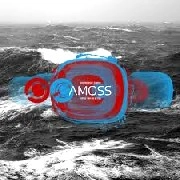 AMOSS / TRIPPED/WHY DO WE FALL