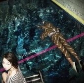 一十三十一 / ＣＩＴＹ　ＤＩＶＥ