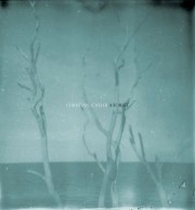 CHRISTIAN LOFFLER / FOREST
