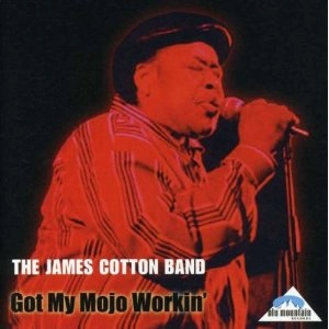 JAMES COTTON BAND / ジェイムズ・コットン / GOT MY MOJO WORKIN'