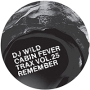 DJ WILD / DJワイルド / DIRTY SAMPLER PART 2