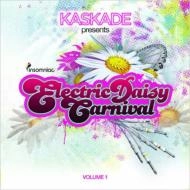 KASKADE / ELECTRIC DAISY CARNIVAL 1