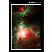 DAVID YA / MILLIONS OF YEARS IN STASIS