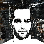 ALEX NIGGEMANN / PARANOID FUNK