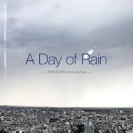 V.A.(THROUGH TONE,9DW,HIROSHI WATANABE...) / A DAY OF RAIN-UNKNOWN PERSPECTIVE-