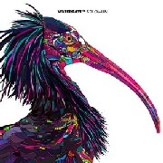 SOLOMUN / WATERGATE 11
