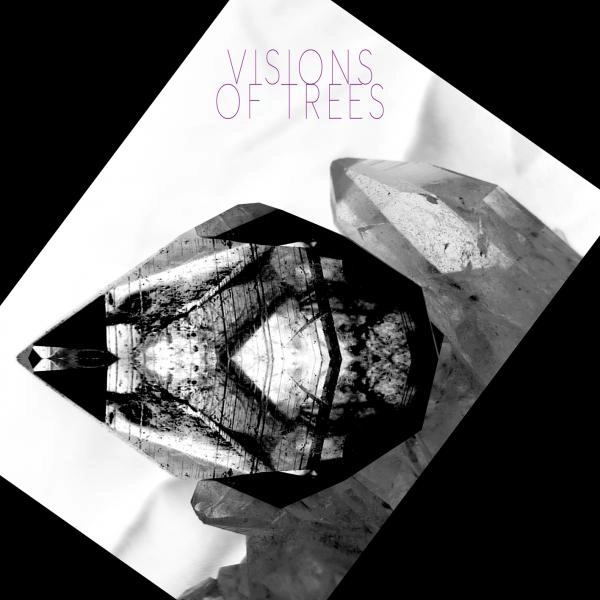 VISIONS OF TREES / VISION OF TREES