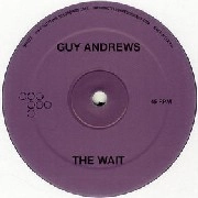 GUY ANDREWS / WAIT/HANDS IN MINE