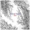 VIDULGI OOYOO / エアロ