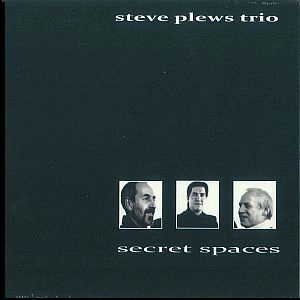 STEVE PLEWS / SECRET SPACES