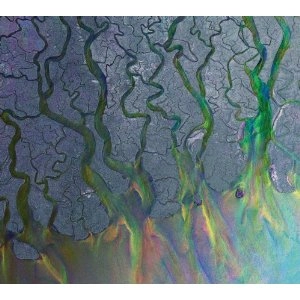ALT-J / アルト・ジェイ / AN AWESOME WAVE