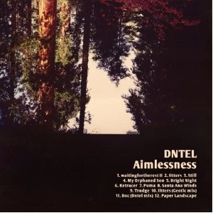 DNTEL / ドゥンテル / AIMLESSNESS