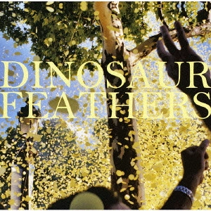 DINOSAUR FEATHERS / ダイナソー・フェザーズ / WHISTLE TIPS