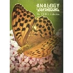 ANALOGY / アナロジー / THE VIDEO COLLECTION