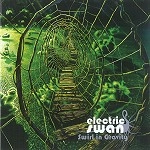 ELECTRIC SWAN / SWIRL IN GRAVITY