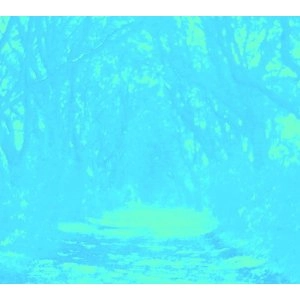 FACTORY FLOOR / ファクトリー・フロア / ＪＰＮ