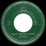 JON SPENCER BLUES EXPLOSION / ジョン・スペンサー・ブルース・エクスプロージョン / GADZOOKS