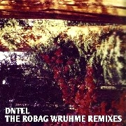 DNTEL / ドゥンテル / ROBAG WRUHME REMIXES