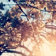 KIYOKO / SEA OF TREES