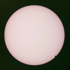 JOHN MAUS / ジョン・マウス / COLLECTION OF RARITIES AND PREVIOUSLY UNRE