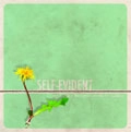 SELF-EVIDENT / WE BUILT A FORTRESS ON SHORT NOTICE