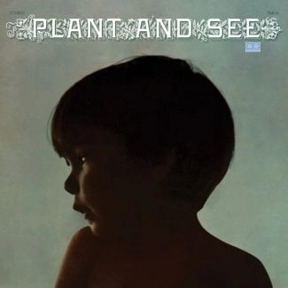 PLANT AND SEE / PLANT AND SEE