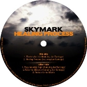 SKYMARK / スカイマーク / HEALING PROCESS