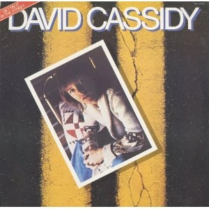 DAVID CASSIDY / デヴィッド・キャシディ / Gettin' It in the Street