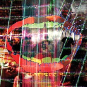 ANIMAL COLLECTIVE / アニマル・コレクティヴ / センティピード･ヘルツ