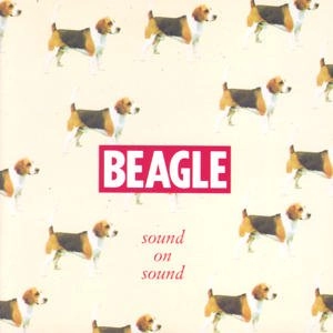 BEAGLE / ビーグル / SOUND ON SOUND