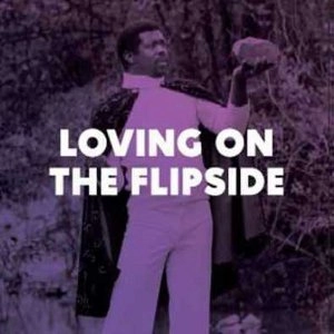 V.A. (LOVING ON THE FLIP SIDE) / ラヴィング・オン・ザ・フリップサイド：ス