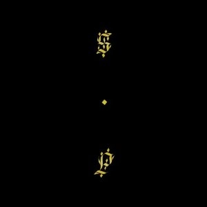 SHABAZZ PALACES / ブラック･アップ
