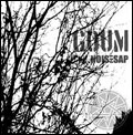 GOUM / NOISE SAP